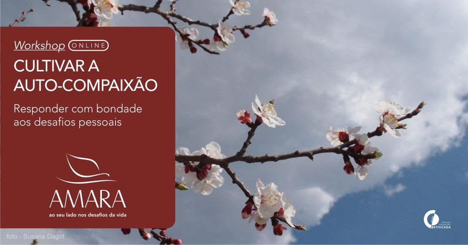 Cultivar a Auto-Compaixo promovido pela AMARA