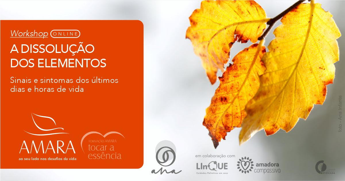 Workshop Online: A Dissoluo dos Elementos