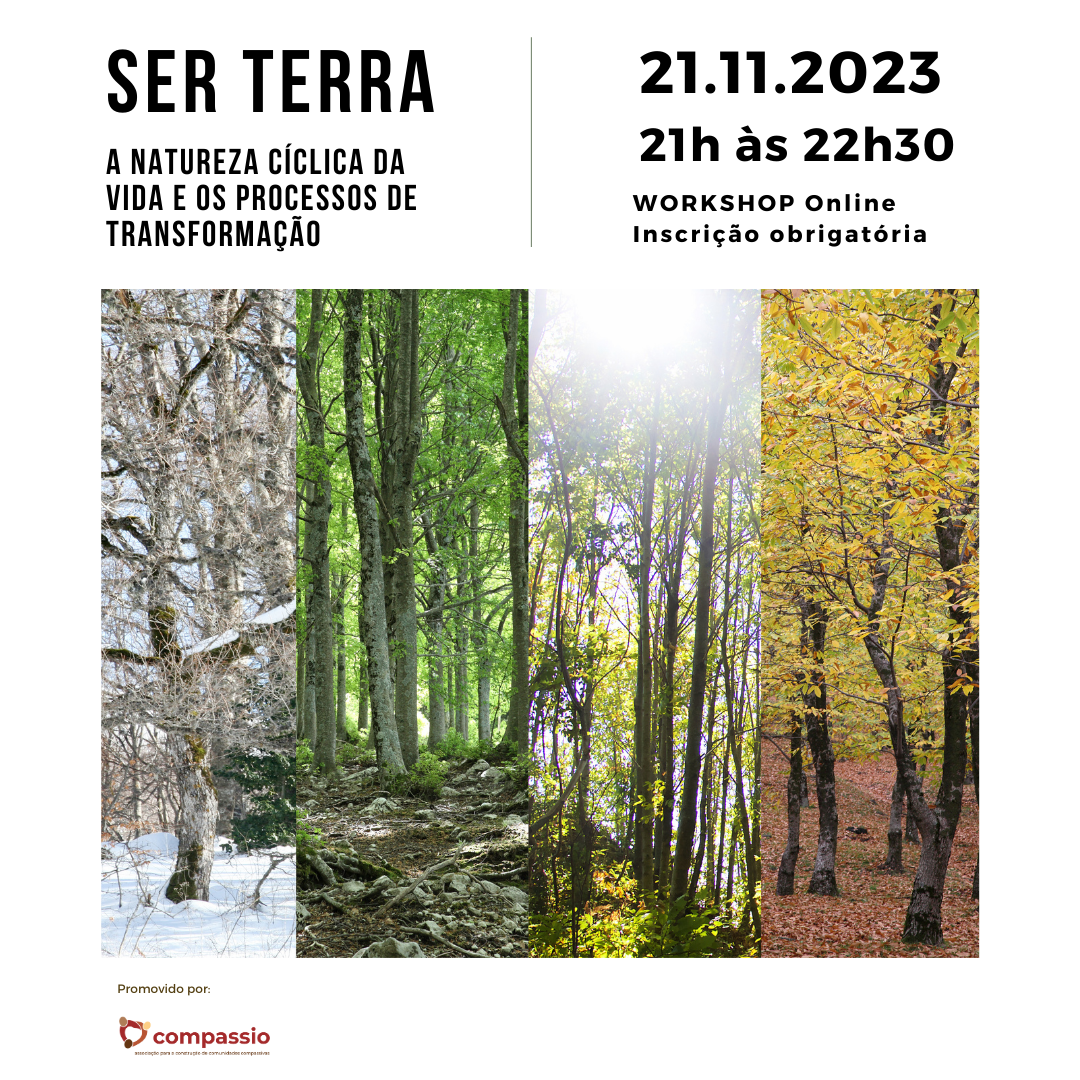 Workshop SER TERRA - online